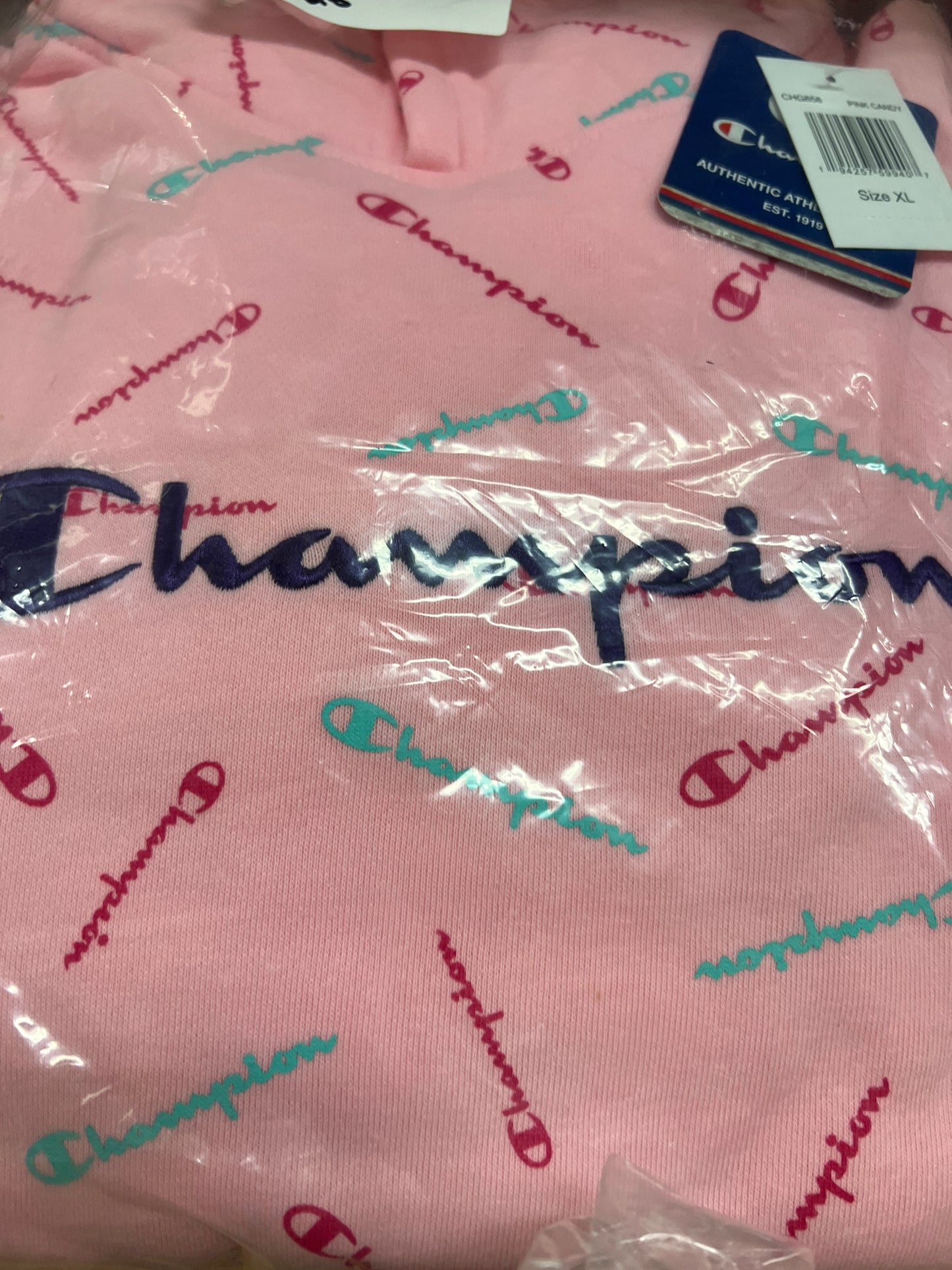 Girls/Youth Champion Hoodies - NWT - Bundle of 10